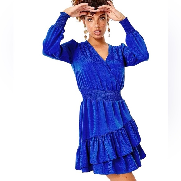 LILLY PULITZER Cristiana Dress Ikat Blue Leopard Size L - Picture 1 of 7